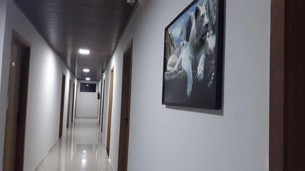 Hotel Rof Telemaco Borba Exterior photo